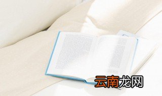 玫瑰读音 玫瑰怎么读