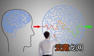 主观什么意思 主观的含义