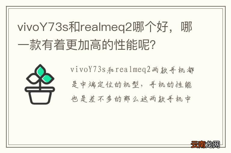 vivoY73s和realmeq2哪个好,哪一款有着更加高的性能呢?