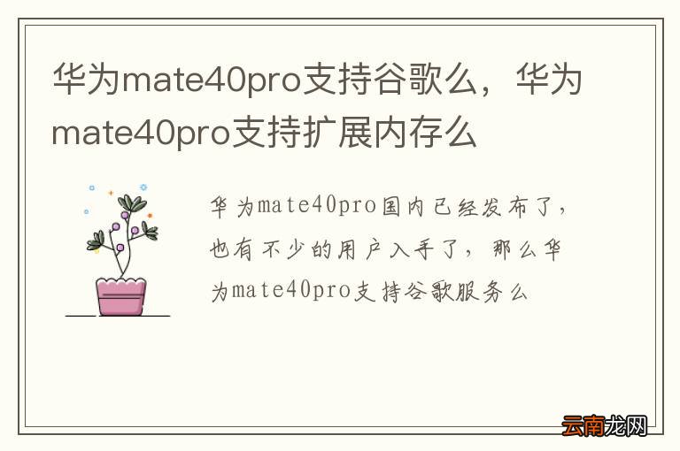 华为mate40pro支持谷歌么，华为mate40pro支持扩展内存么