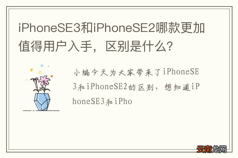 iPhoneSE3和iPhoneSE2哪款更加值得用户入手，区别是什么？