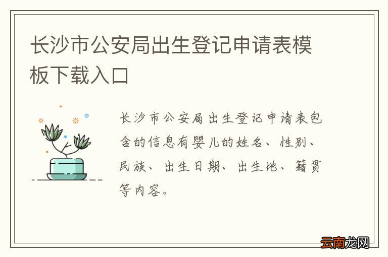 长沙市公安局出生登记申请表模板下载入口