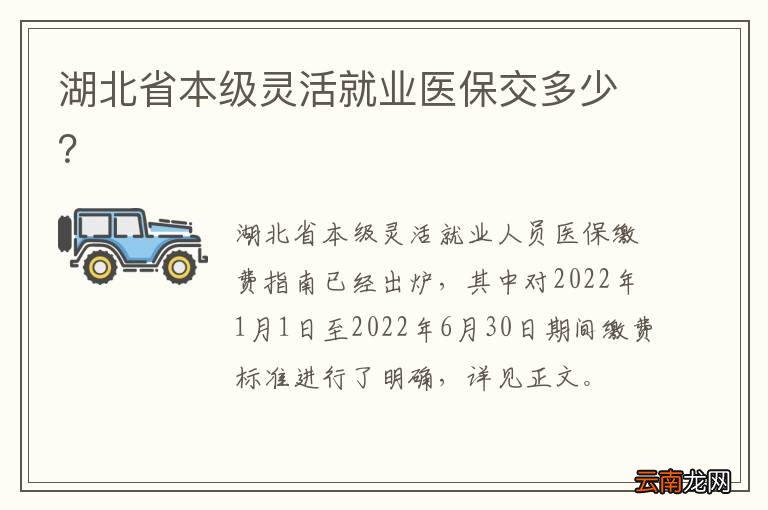 湖北省本级灵活就业医保交多少？