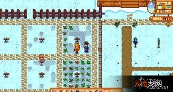 《星露谷物语 / 像素谷》8个稀有稻草人收集方法解析攻略