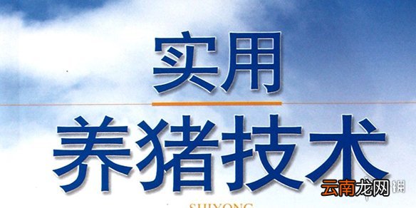王者模拟战养猪流怎么玩 王者模拟战养猪流阵容攻略
