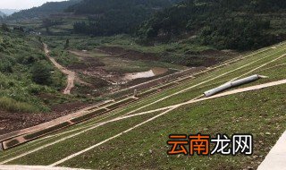 南充大通镇要搬迁吗 看看怎么说