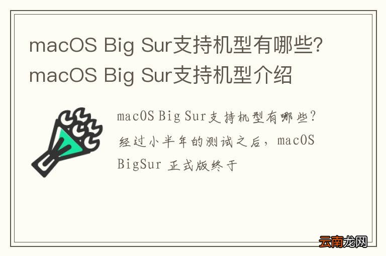 macOS Big Sur支持机型有哪些？macOS Big Sur支持机型介绍