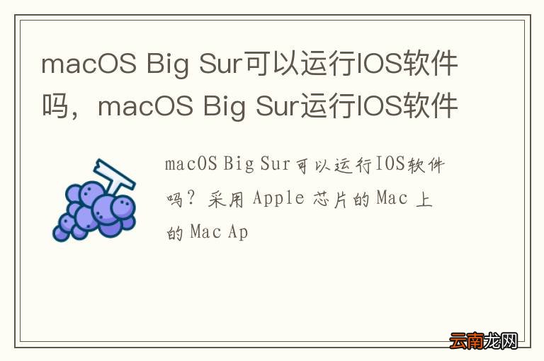 macOS Big Sur可以运行IOS软件吗，macOS Big Sur运行IOS软件教程