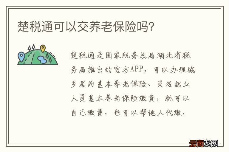 楚税通可以交养老保险吗？