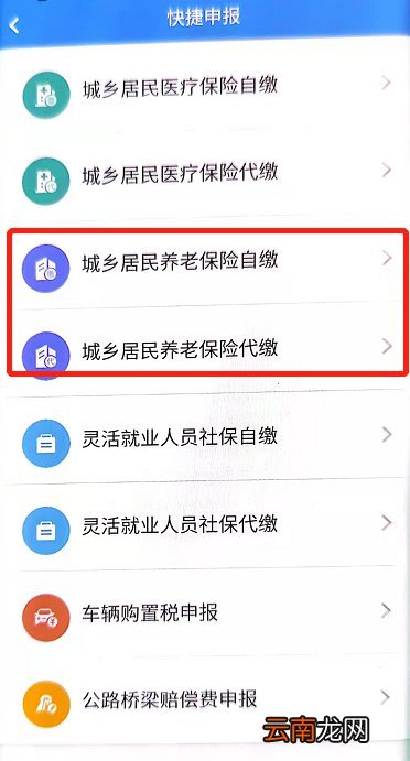 楚税通可以交养老保险吗？