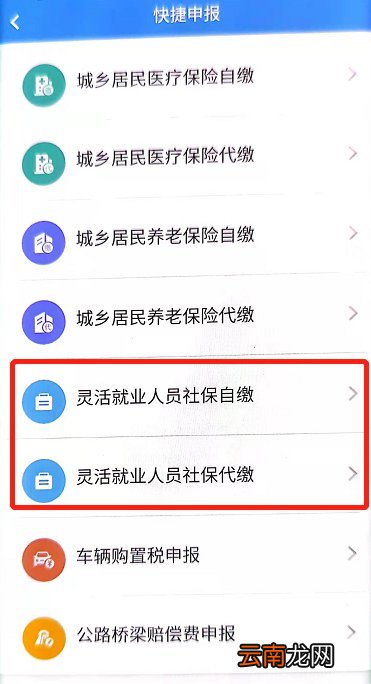 楚税通可以交养老保险吗？
