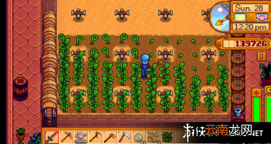 《星露谷物语 / 像素谷》稀有种子用法及林雕像用途详解