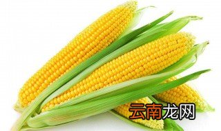 老坛玉米制作方法 怎么制作老坛玉米