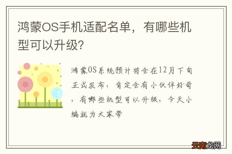鸿蒙OS手机适配名单，有哪些机型可以升级？
