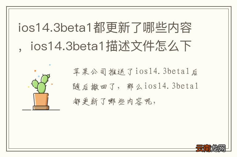 ios14.3beta1都更新了哪些内容，ios14.3beta1描述文件怎么下载