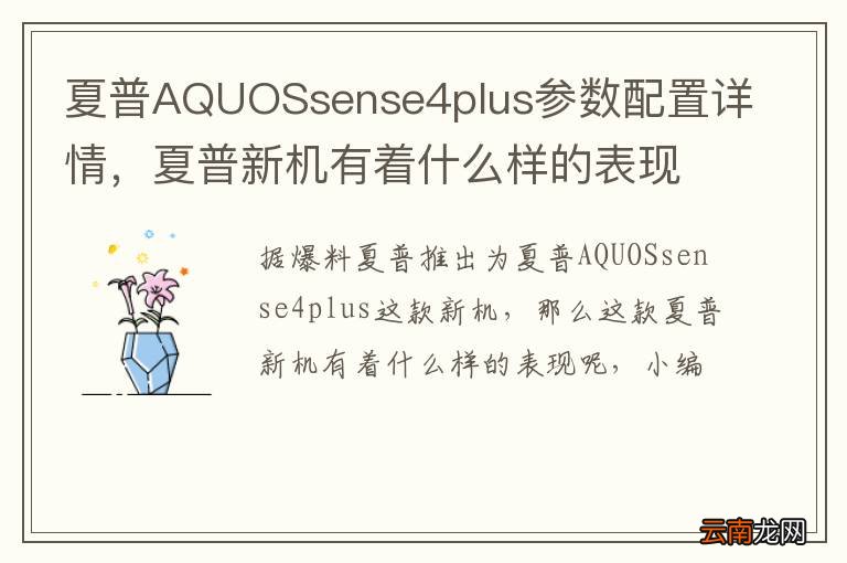 夏普AQUOSsense4plus参数配置详情,夏普新机有着什么样的表现