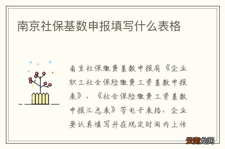 南京社保基数申报填写什么表格