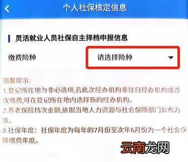 楚税通怎么代缴灵活就业人员社保？