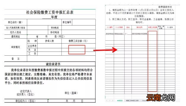 2022南京社保基数申报工资总额填报要求