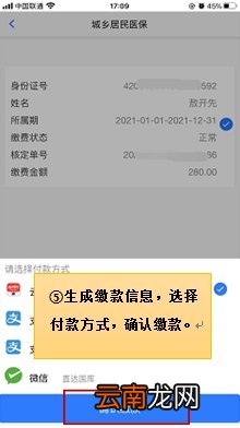 附图解 楚税通城乡居民医疗保险缴费操作指引