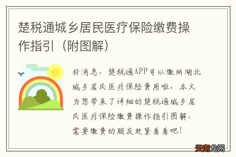 附图解 楚税通城乡居民医疗保险缴费操作指引