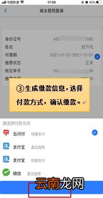 附图解 楚税通城乡居民医疗保险缴费操作指引