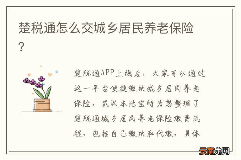 楚税通怎么交城乡居民养老保险？