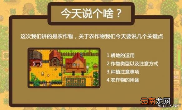 《星露谷物语 / 像素谷》耕地运用、种植事项及农作物用途解析