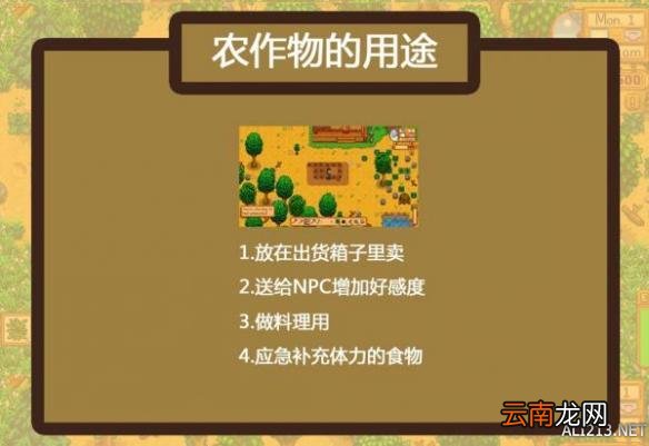 《星露谷物语 / 像素谷》耕地运用、种植事项及农作物用途解析