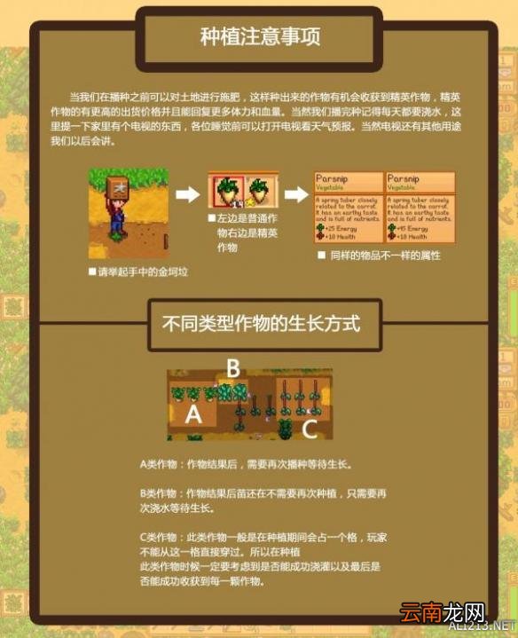《星露谷物语 / 像素谷》耕地运用、种植事项及农作物用途解析