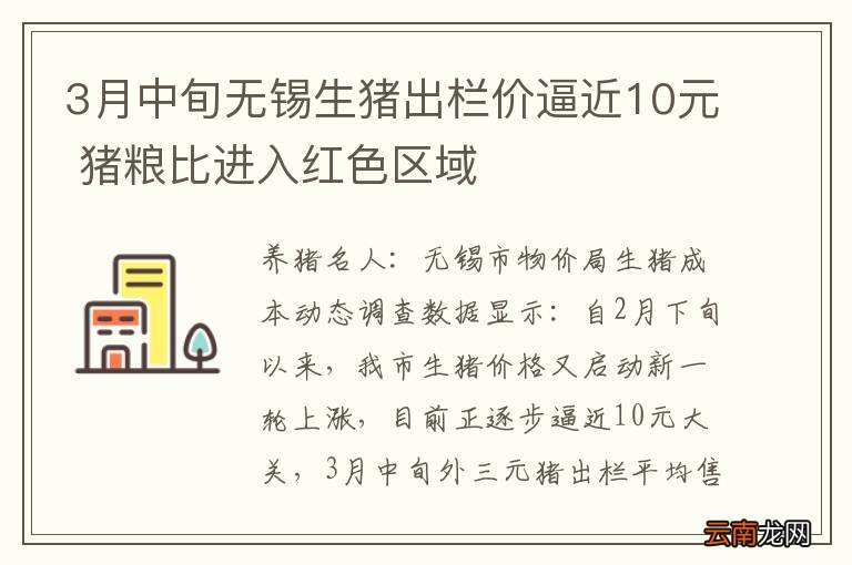 3月中旬无锡生猪出栏价逼近10元 猪粮比进入红色区域
