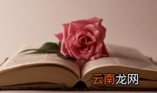 吽怎么读 吽的读音