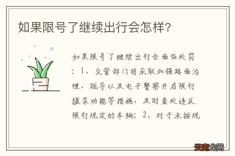 如果限号了继续出行会怎样?
