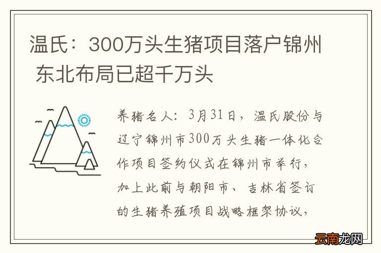 温氏：300万头生猪项目落户锦州 东北布局已超千万头