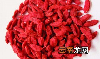 三种人不能喝枸杞 喝了会如何