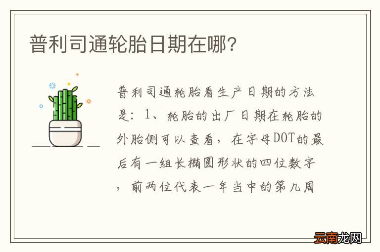 普利司通轮胎日期在哪?