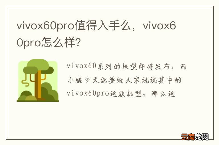vivox60pro值得入手么，vivox60pro怎么样？