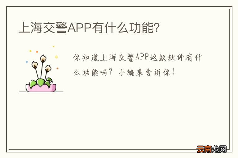 上海交警APP有什么功能？