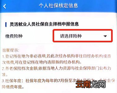 楚税通怎么交灵活就业人员社保?