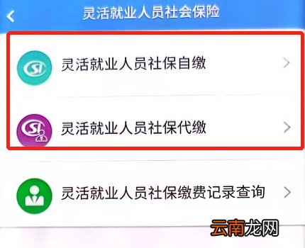 楚税通怎么交灵活就业人员社保?