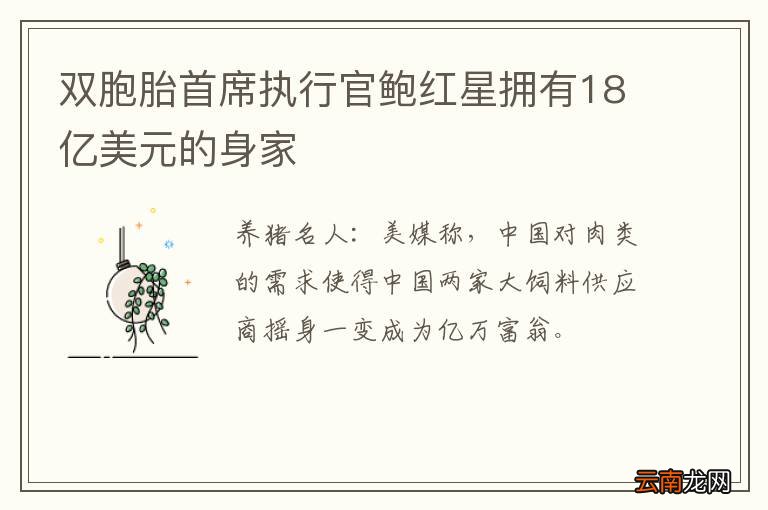 双胞胎首席执行官鲍红星拥有18亿美元的身家