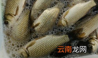 朝天钩钓鱼技巧 朝天钩钓鱼技巧教程