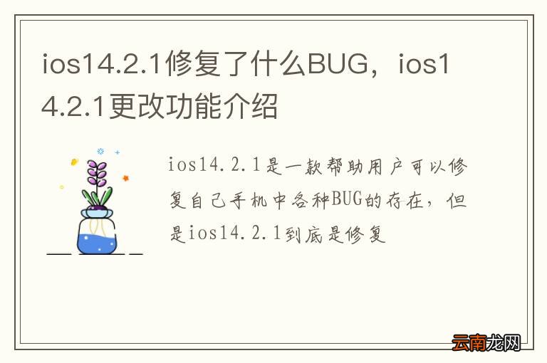 ios14.2.1修复了什么BUG，ios14.2.1更改功能介绍