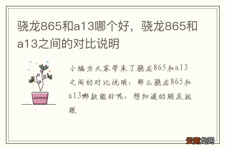 骁龙865和a13哪个好，骁龙865和a13之间的对比说明