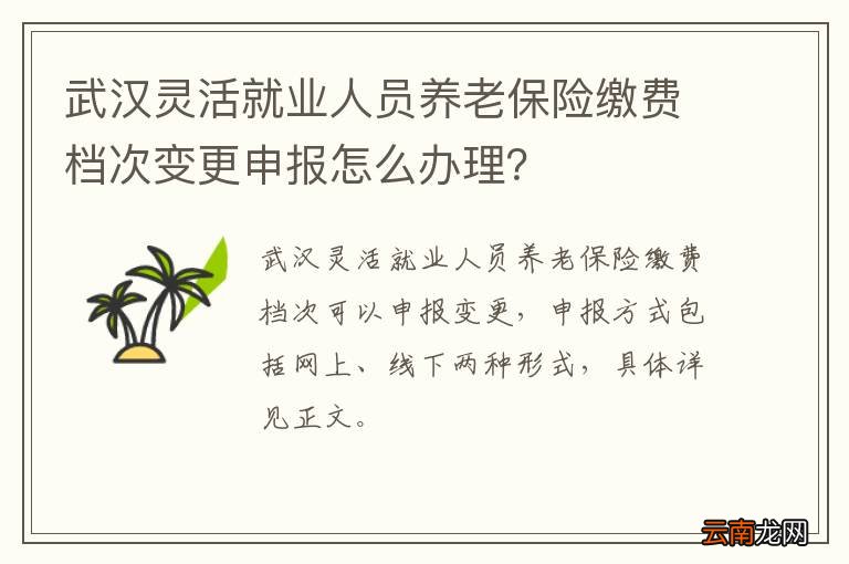 武汉灵活就业人员养老保险缴费档次变更申报怎么办理？