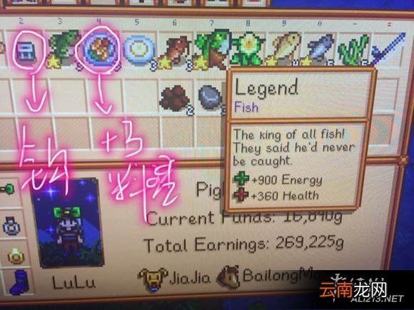 《星露谷物语 / 像素谷》传说鱼钓法经验心得