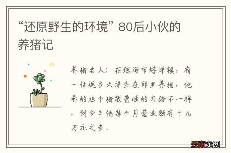 “还原野生的环境” 80后小伙的养猪记