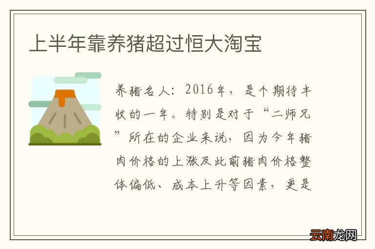 上半年靠养猪超过恒大淘宝