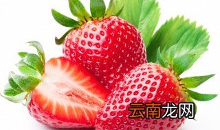 描写草莓的优美句子 有什么描写草莓的唯美句子呢