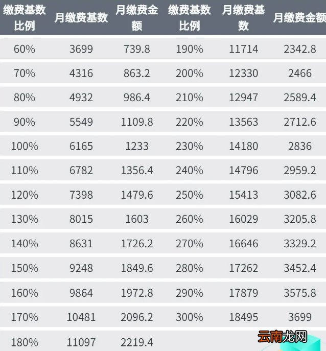 重庆离职后暂不就业如何参加社保？